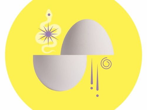 Elmeleven World Egg Smoothie Sour