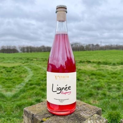 Rivington Lignee RASPBERRY BA Saison
