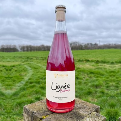 Rivington Lignee BLACKBERRY BA Saison