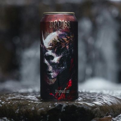 Brujos Populus DDH IPA Brujos Populus DDH IPA