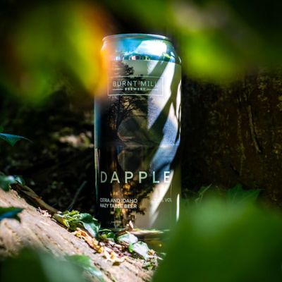 Burnt Mill Dapple Table Beer Burnt Mill Dapple Table Beer