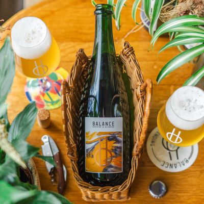 Balance Fools Gold 2024 Apricot Wild Ale Balance Fools Gold 2024 Apricot Wild Ale