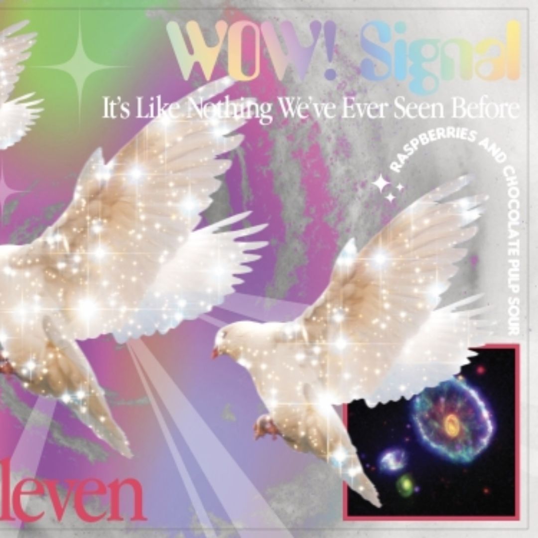 Elmeleven Wow! Signal Pastry Sour