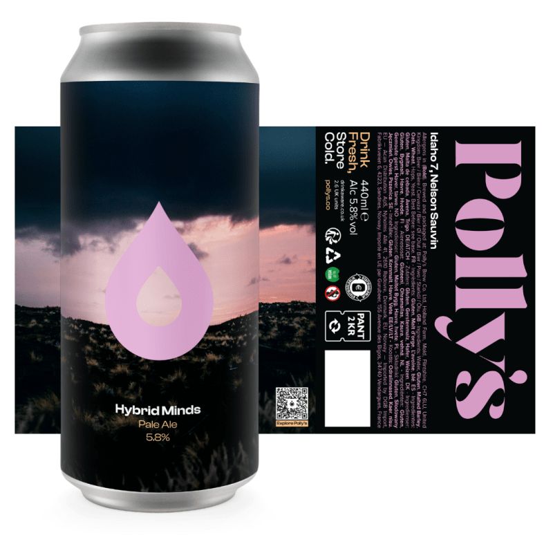 Polly's Hybrid Minds Pale Ale