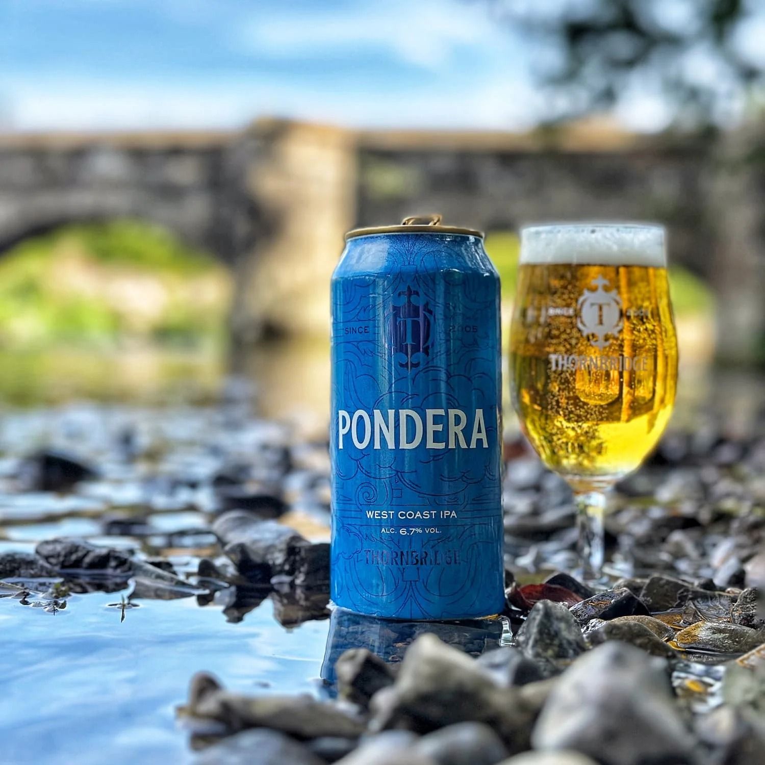 Thornbridge Pondera West Coast IPA Thornbridge Pondera West Coast IPA