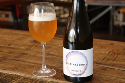 Scatterlings Champuru Saison Scatterlings Champuru Saison