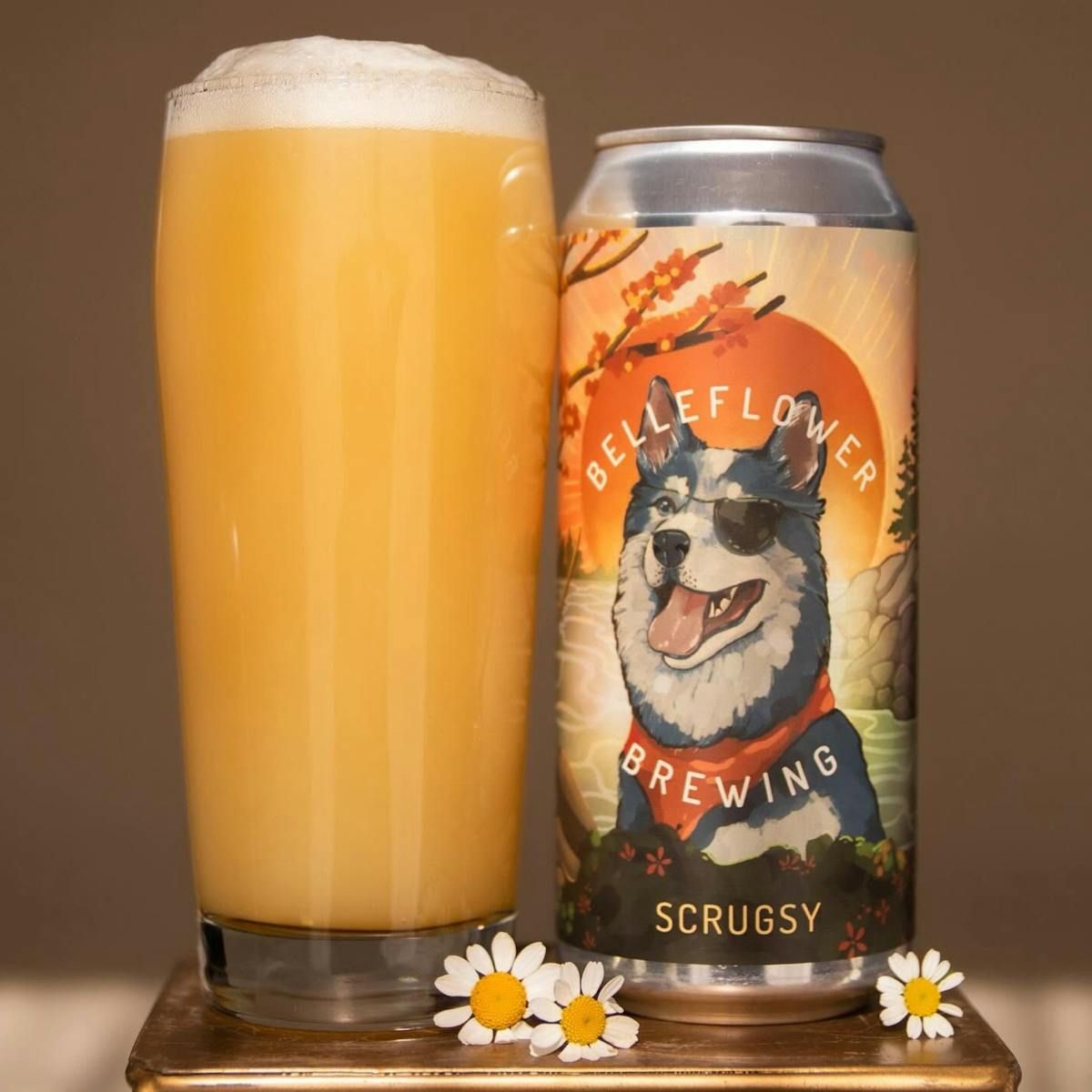 Belleflower Scrugsy NE IPA Belleflower Scrugsy NE IPA