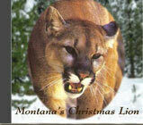 Montana Christmas Lion