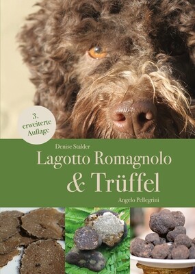 Lagotto Romagnolo & Trüffel