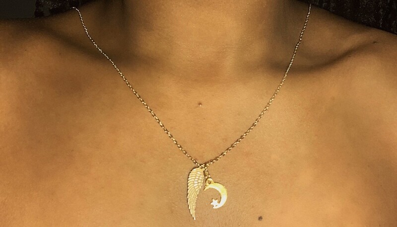 Necklace, Two Charms