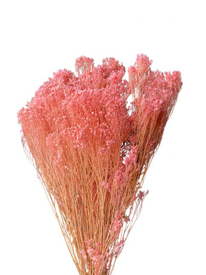 17” Broom Bloom Pink
