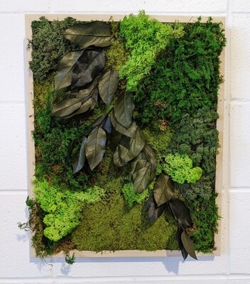 Moss Art 16.75" x 20.75"