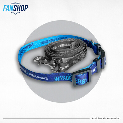 Pet Collar Blue/Aqua