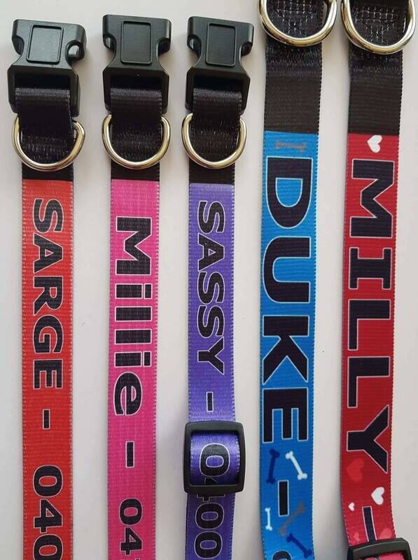 Dog Collars