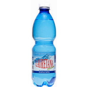 Lauretana naturale PET    24 x 0.50CL