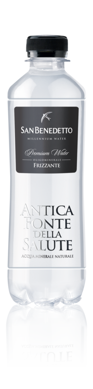 San Benedetto &quot;Antica Fonte della salute&quot; gasata - 24 X 0.40CL