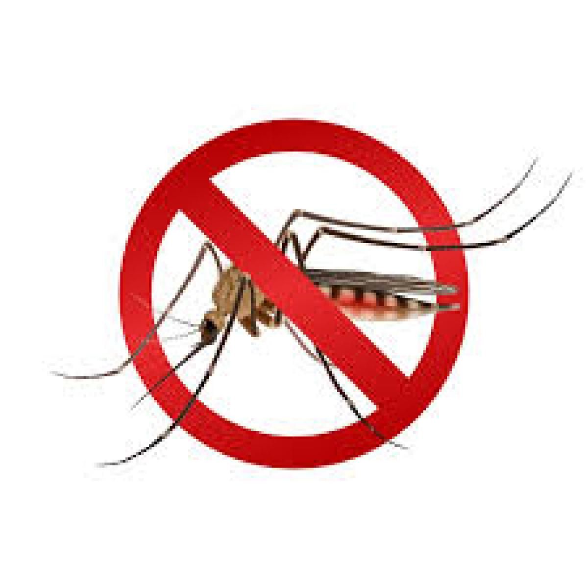 Antimosquitos