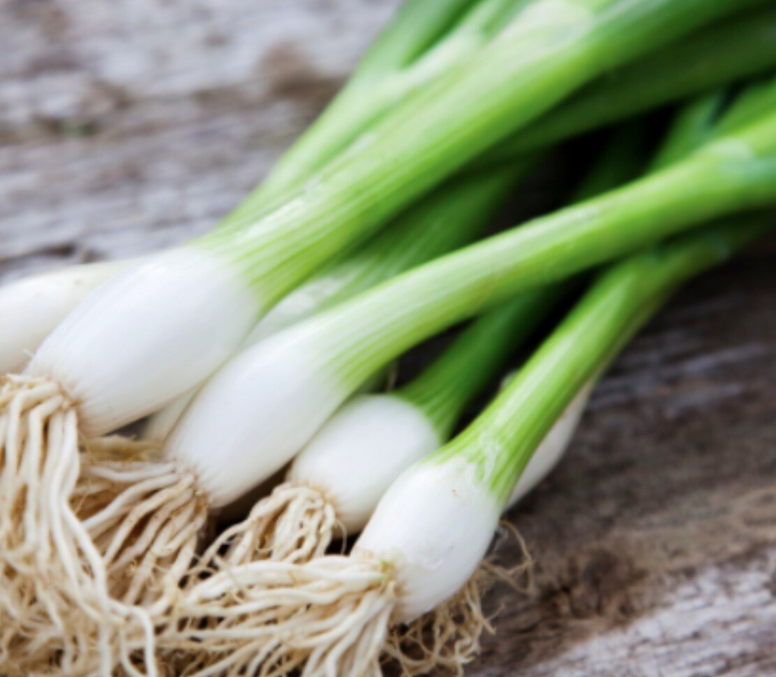 OUR OWN - Scallion Bunch