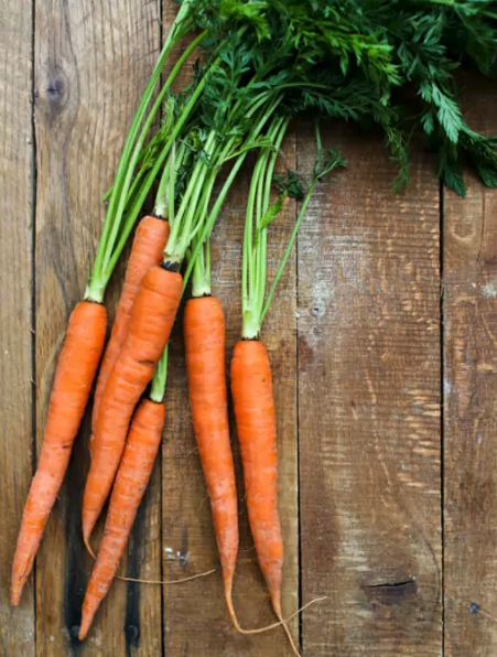 Carrots - Bunch Carrots - Bunch