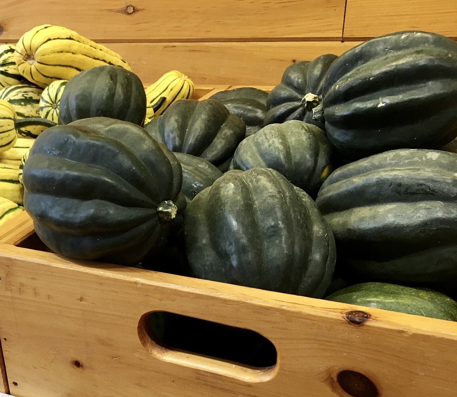 Acorn Squash - Each Acorn Squash - Each