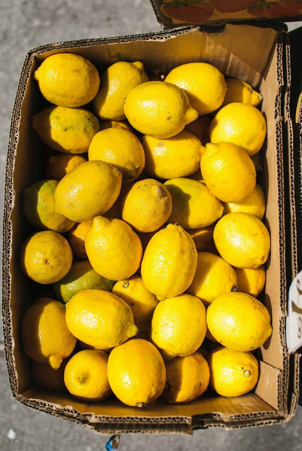 Lemon - Pack of 4 Lemon - Pack of 4