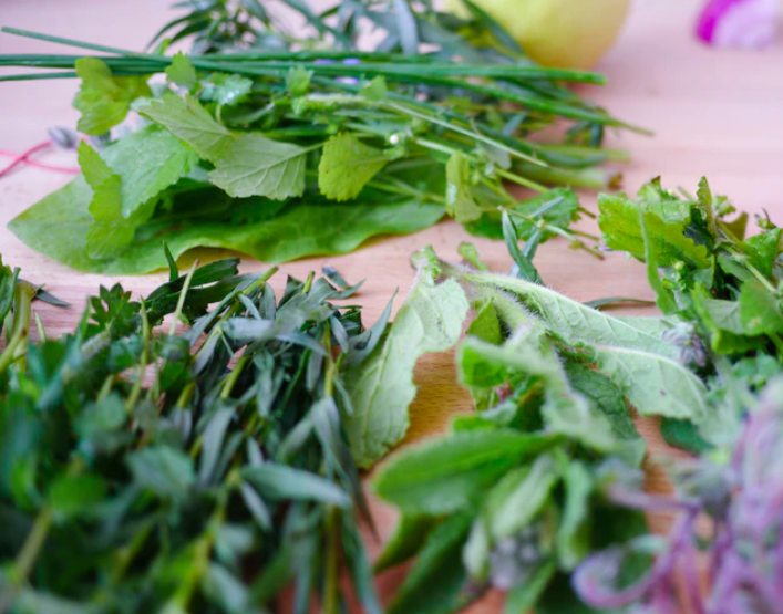Fresh Herbs Fresh Herbs