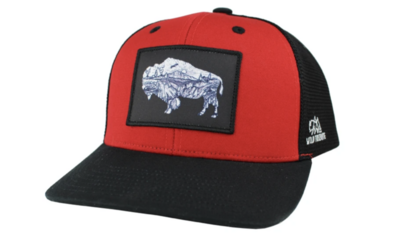Hat - Wild Tribute Yellowstone Bison
