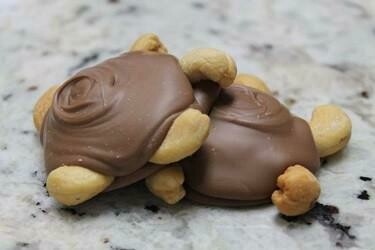 Cashew Turtles