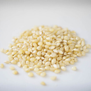 thumbnail image 2 of Amish Trading Post White Popcorn Kernels - 5lb Bag For Perfect Popping 2 of 6