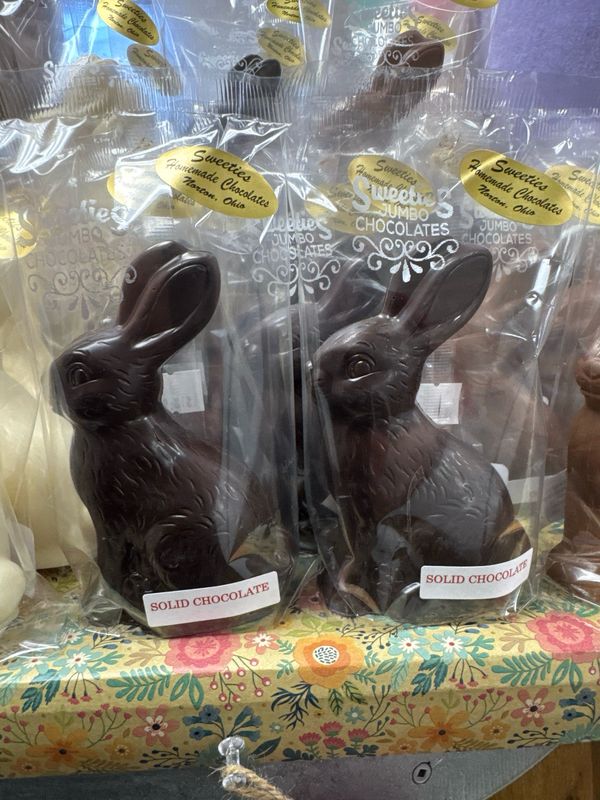 Solid Dark Chocolate Bunny (8oz)