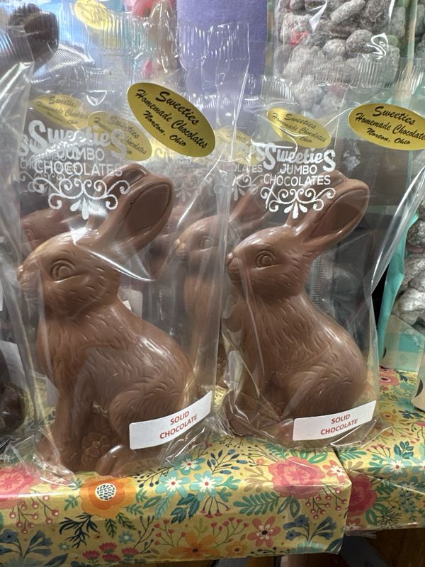 Solid Milk Chocolate Bunny (8oz)