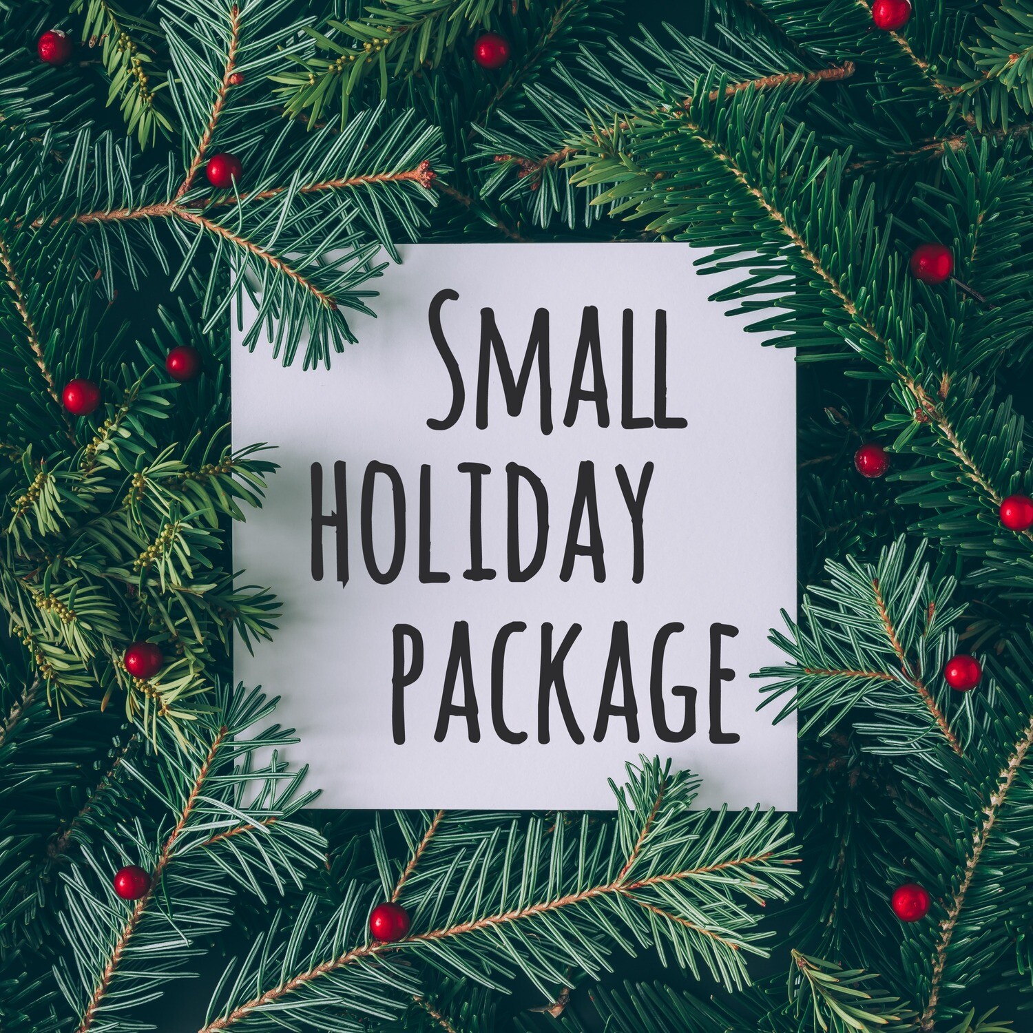 Small Holiday Package