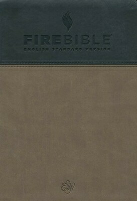 English Standard Version (ESV) Slate/Charcoal PU Cover English Standard Version (ESV) Slate/Charcoal PU Cover