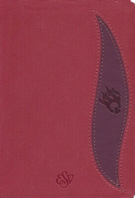 English Standard version (ESV) Student Edition Brick Red/Plum PU Cover English Standard version (ESV) Student Edition Brick Red/Plum PU Cover