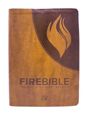 English Standard Version (ESV) Brown PU Cover English Standard Version (ESV) Brown PU Cover