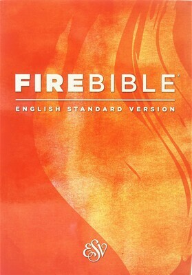 English Standard Version (ESV) Paperback English Standard Version (ESV) Paperback