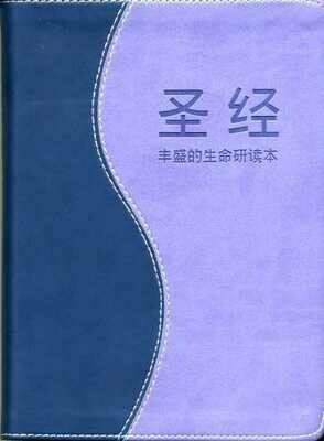Chinese Simplified Blue/Purple Duo Cover Chinese Simplified Blue/Purple Duo Cover