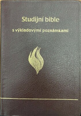 Czech Burgundy Bonded Leather Czech Burgundy Bonded Leather