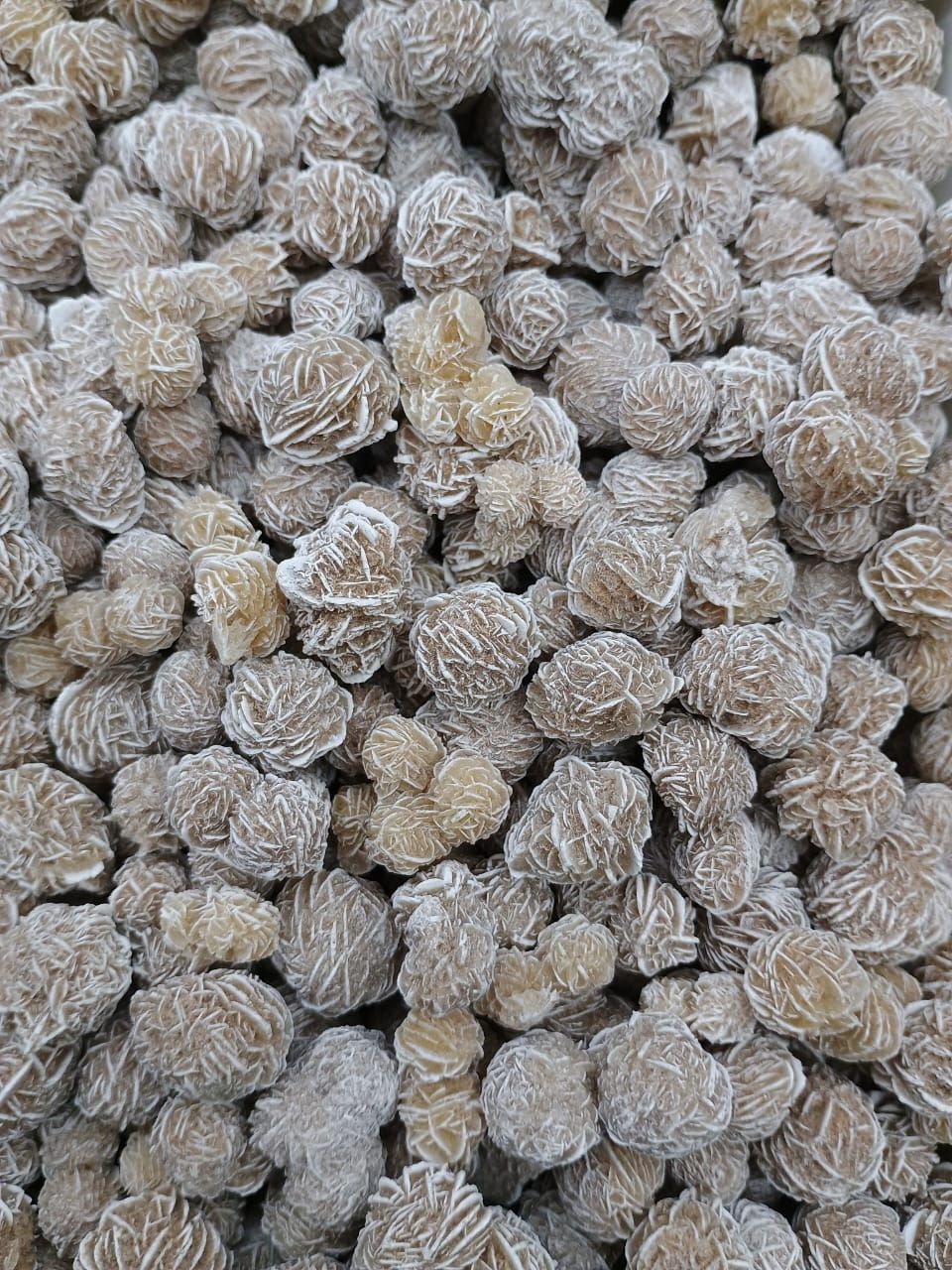 Rosa del desierto por 100grs