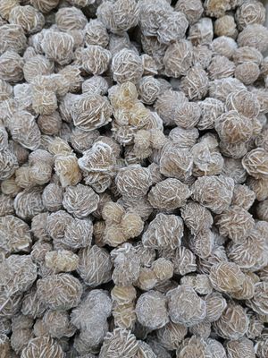 Rosa del desierto por 100grs