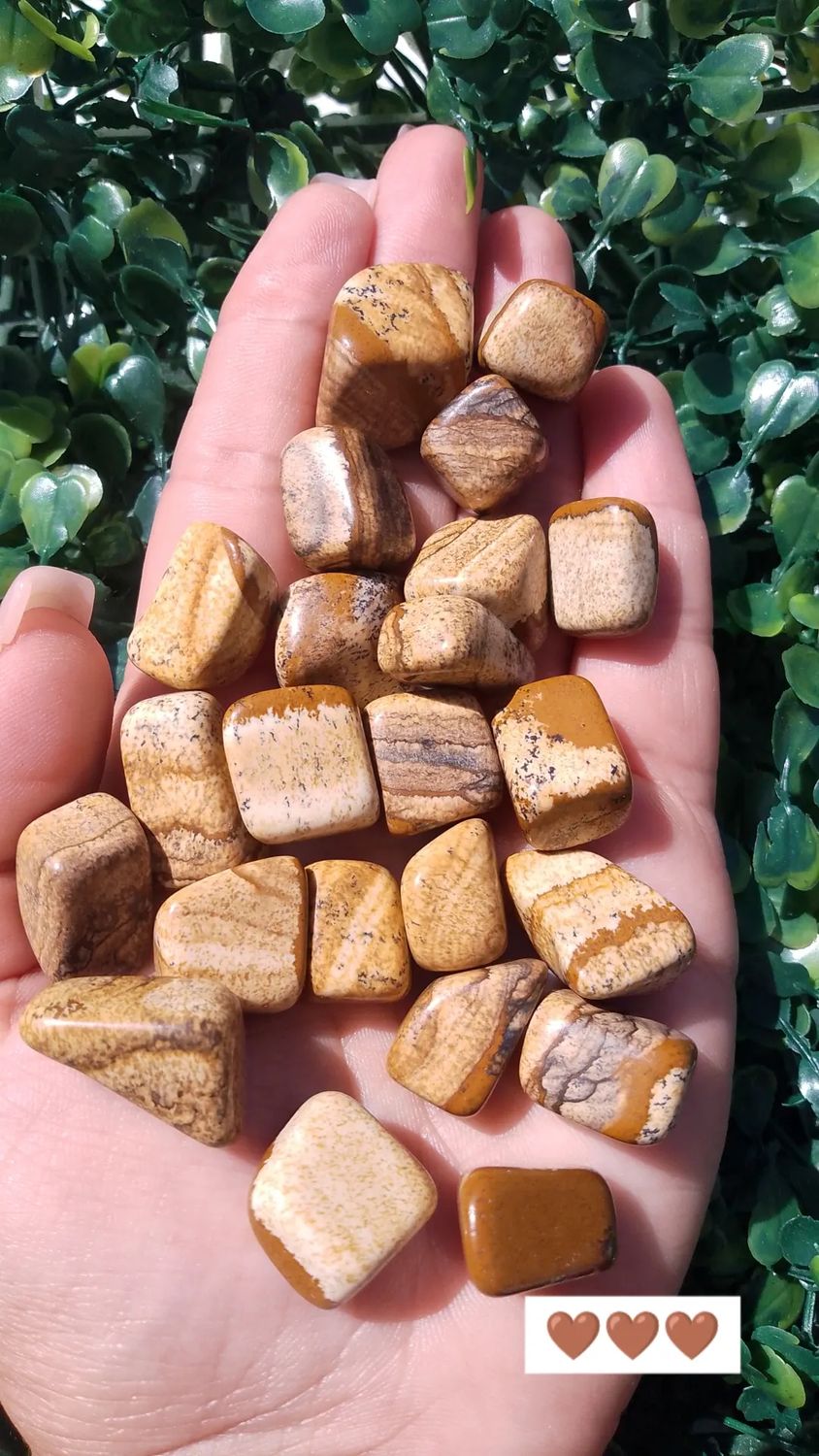 Jaspe madera rolado por 100grs