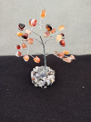 Árbol de la vida con base chicos