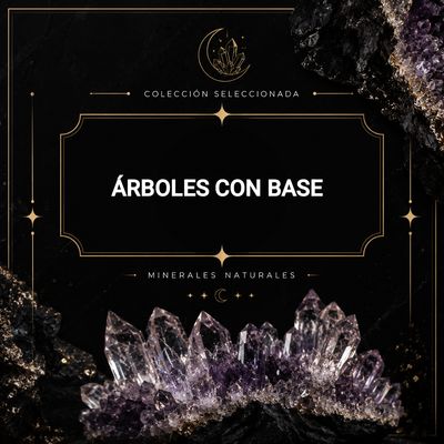 •Árboles con base