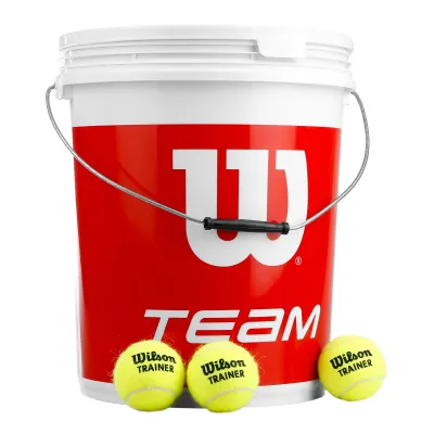 Wilson Trainer tennis balls