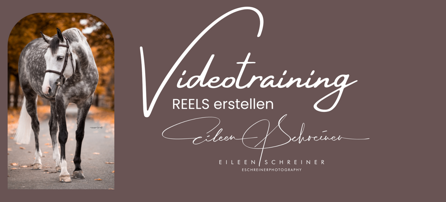 Videotraining REELS erstellen