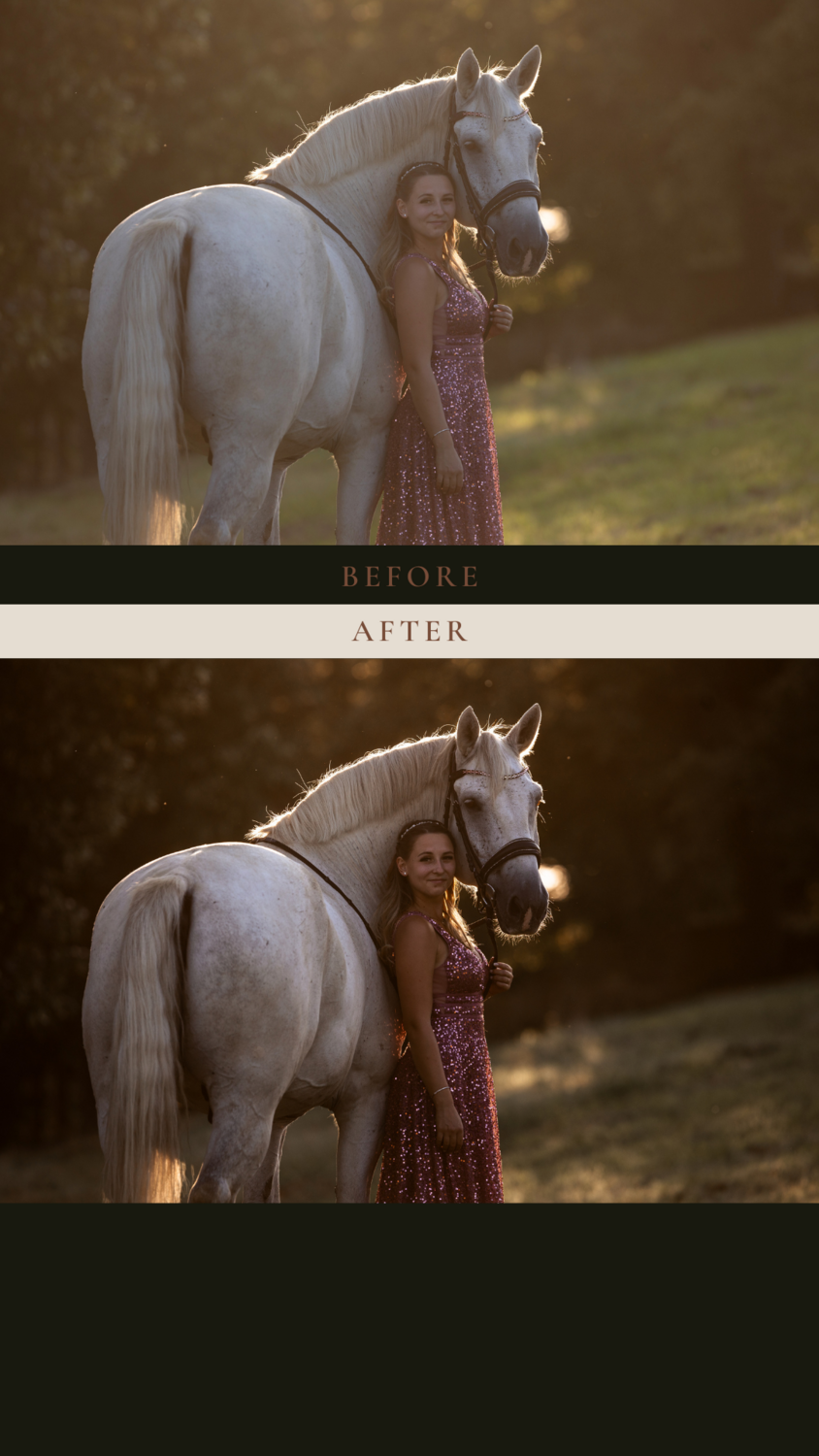 Presets "get the style" DESKTOP