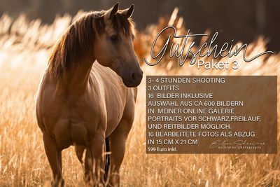 Gutschein Paket 3