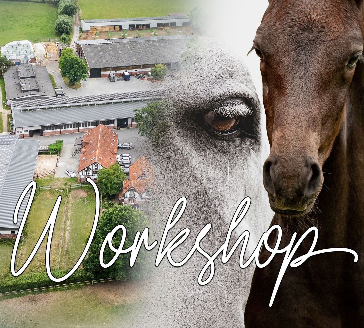 WORKSHOP LIGGES