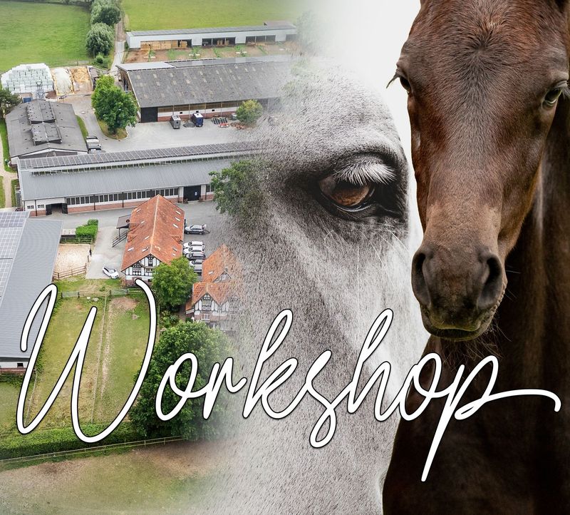 WORKSHOP LIGGES