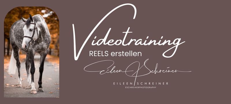 Videotraining REELS erstellen Videotraining REELS erstellen